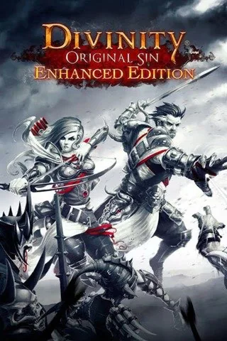 Divinity: Original Sin - Enhanced Edition cover