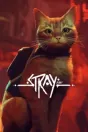 Stray cover